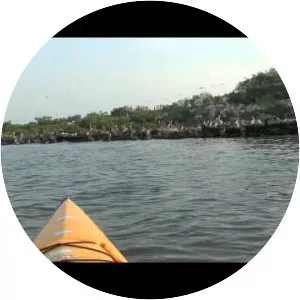 Gaillard Island - Island in the Mobile Bay