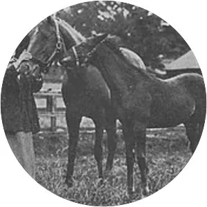 Gainsborough - Horse