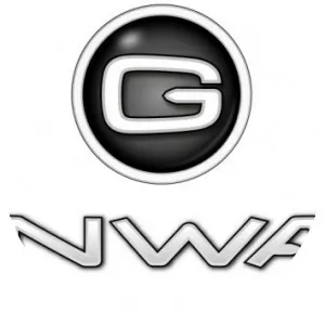 Gainward - Computer hardware company