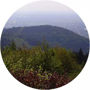 Gaisberg (Heidelberg)