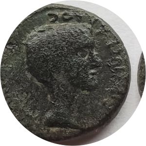 Gaius Asinius Gallus