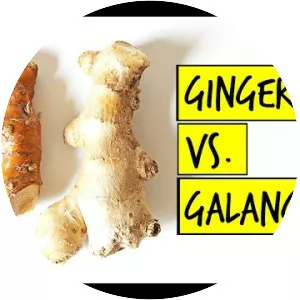 Galangal - 