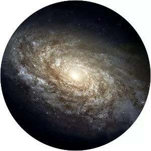 Galaxy - 
