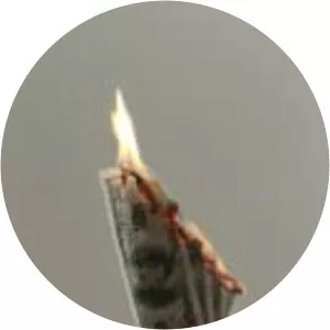 Gale Crosley - Author