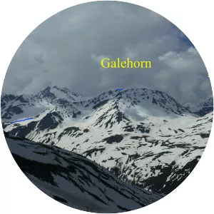 Galehorn