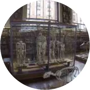 Galerie de Paléontologie et d'Anatomie comparée
