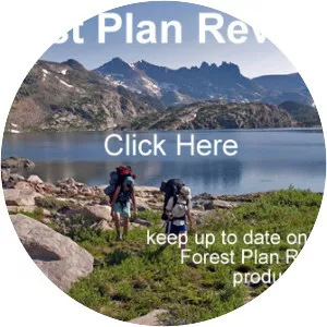 Gallatin National Forest