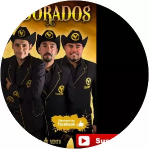 Gallos Dorados