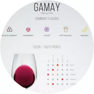 Gamay