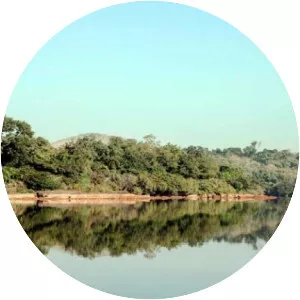 Gambia River - 