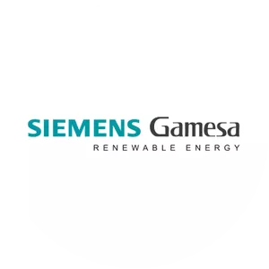 Gamesa Corporación Tecnológica (. . .