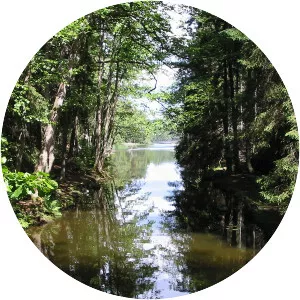 Gammelströmmen - River in Sweden