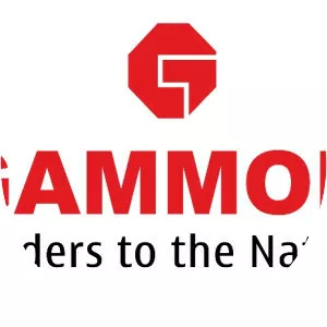 Gammon Infrastructure Projects Limited - Motorway construction company