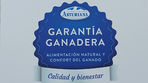 Ganaderia El Pedregal Asturias - Farm school in Logrezana, Spain