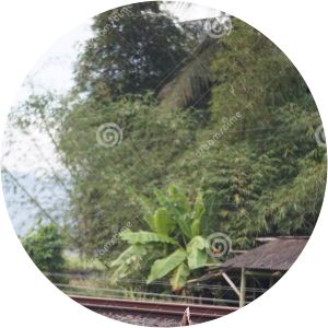 Gandasoli railway station