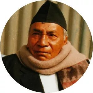 Ganesh Man Singh - Politician