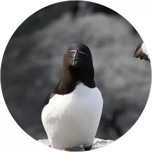 Gannet Islands Ecological Reserve