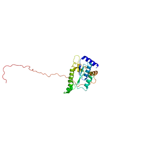 Gap junction beta-2 protein - 
