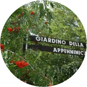 Garden of the Apennine Flora