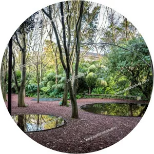 Garden of the Calouste Gulbenkian Foundation photograph