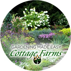 Gardening Made Easy by Cottage Farms
