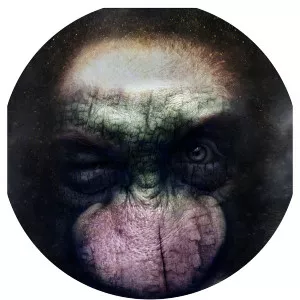 Gargantum photograph