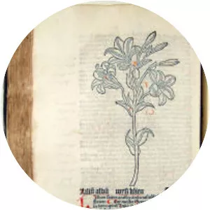 Gart der Gesundheit - Book