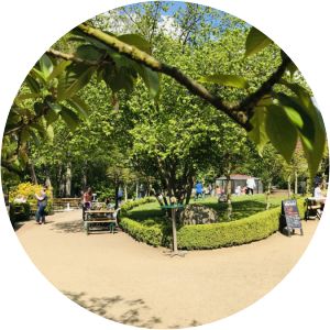 garten der schmetterlinge