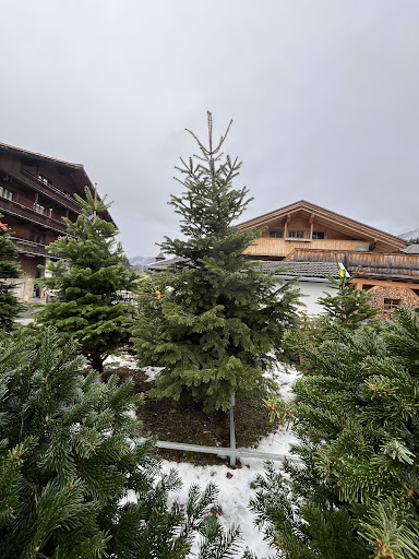 Garten-Service.Tirol - 