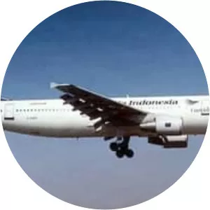 Garuda Indonesia Flight 152 - Airline crash