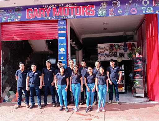 Gary Motors dmg - Mechanic in Abancay, Peru