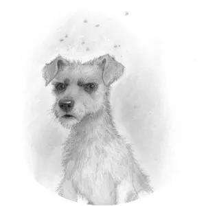 Gaspode - Book character