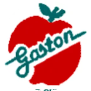 Gaston County Schools