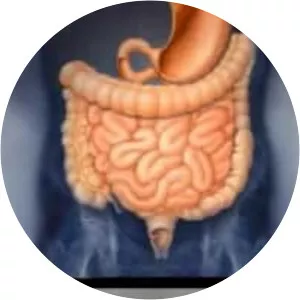 Gastroenterology