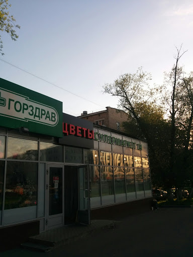 Gastronomiya - Grocery store