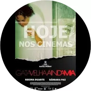 Gata Velha Ainda Mia