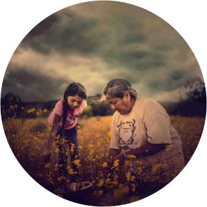 Gather  - 2020 ‧ Documentary ‧ 1h 14m