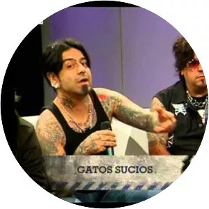 Gatos Sucios - Musical group