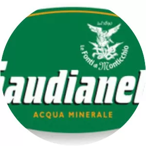 Gaudianello - Company