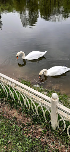 Gauk G. Moskvy Pkio Lianozovskiy, Skeyt-Park - Skateboard park in Moscow, Russia