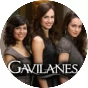 Gavilanes