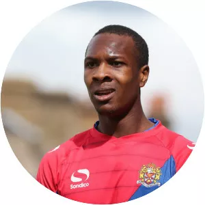 Gavin Hoyte - Footballer