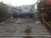 Gayasan Wildflower Botanical Garden