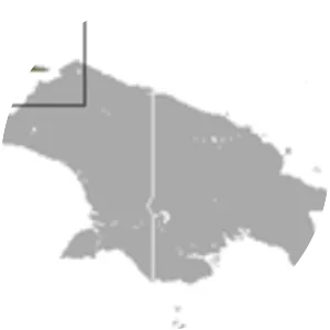 Geelvink Bay flying fox - Animal