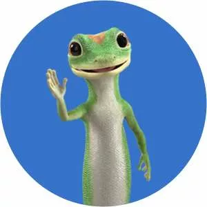 GEICO - Insurance company
