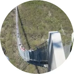 Geierlay Suspension Bridge - 