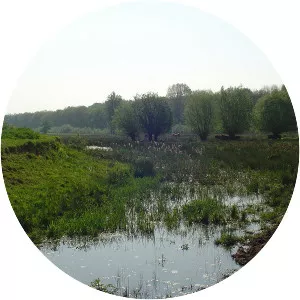 Geleenbeek