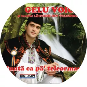 Gelu Voicu