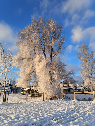 Gemeinde Eglfing - Local government office in Eglfing, Germany