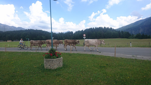 Gemeindeamt Pinswang - Government office in Pinswang, Austria